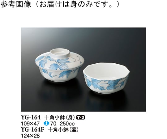 十角小鉢（身） アイビー 10個入　YG-164