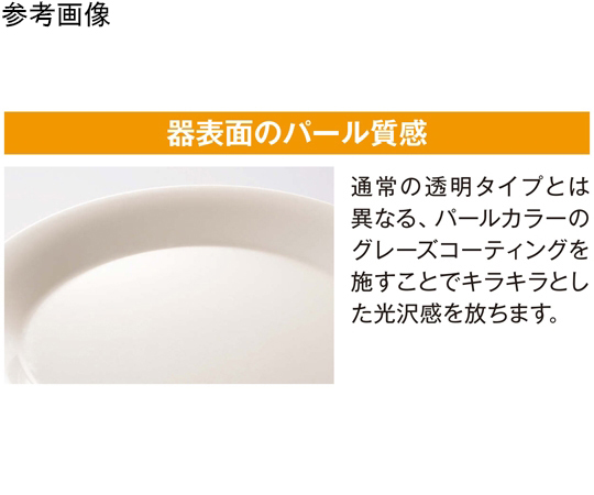 20cm 平皿 ミューズ 80個入　M-152MUI