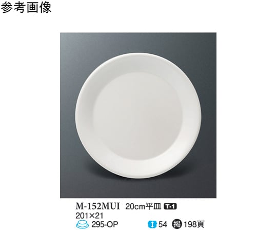 20cm 平皿 ミューズ 80個入　M-152MUI