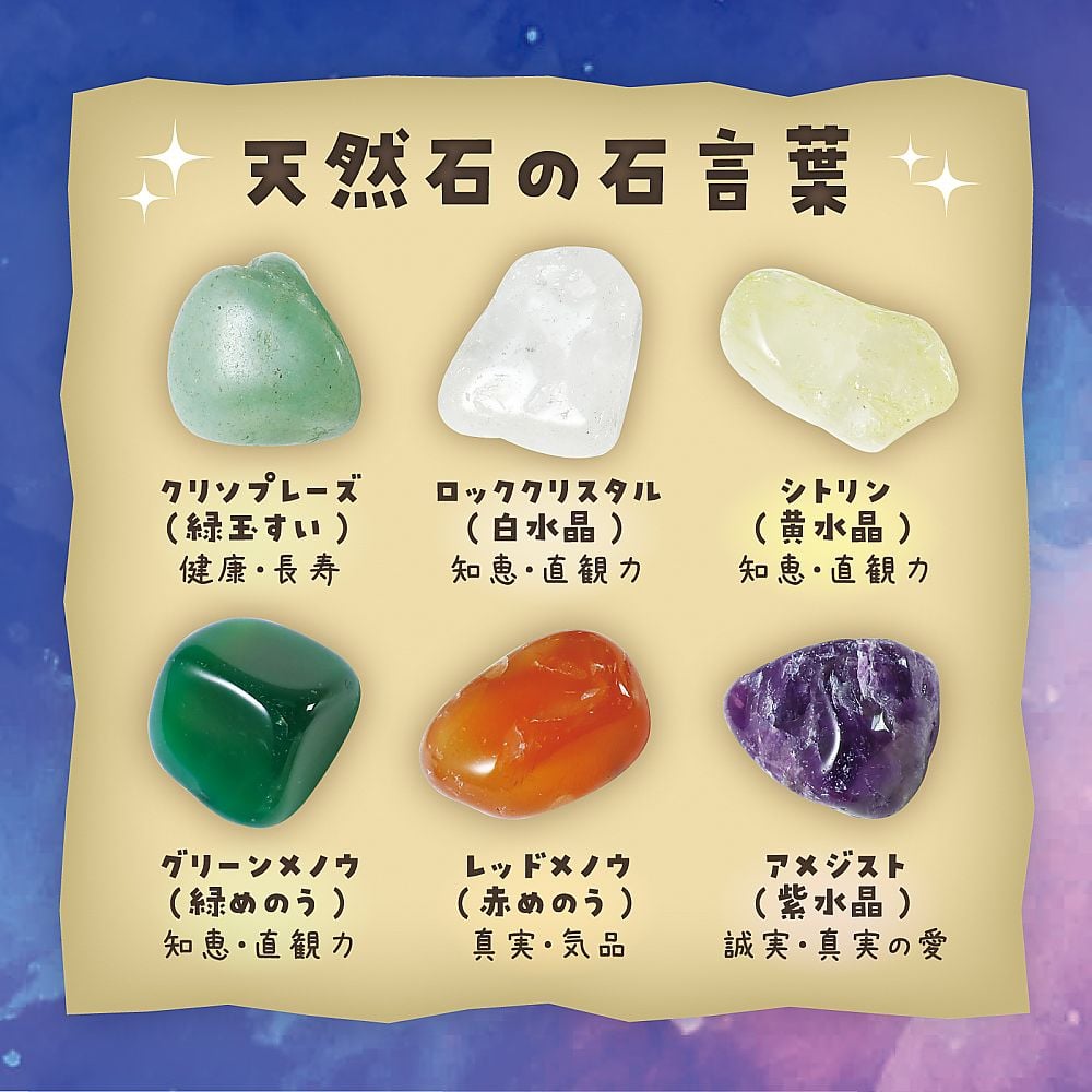 窯業　石　研究　セット 68-0756-28 天然石発掘キット 58251 【AXEL】 アズワン