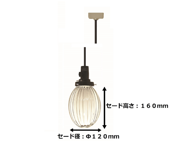 ペンダントライト オーバルクリア　OC-1