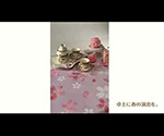 動画