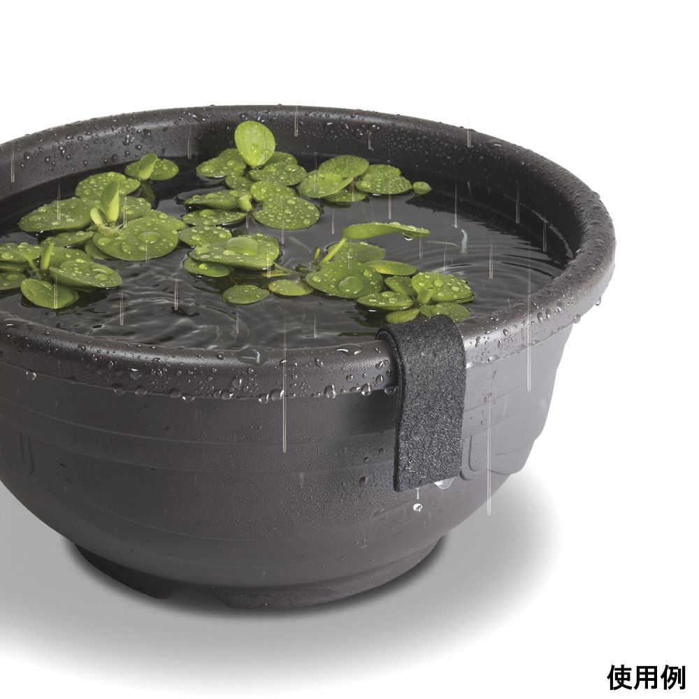 水位の見張り番 (小)