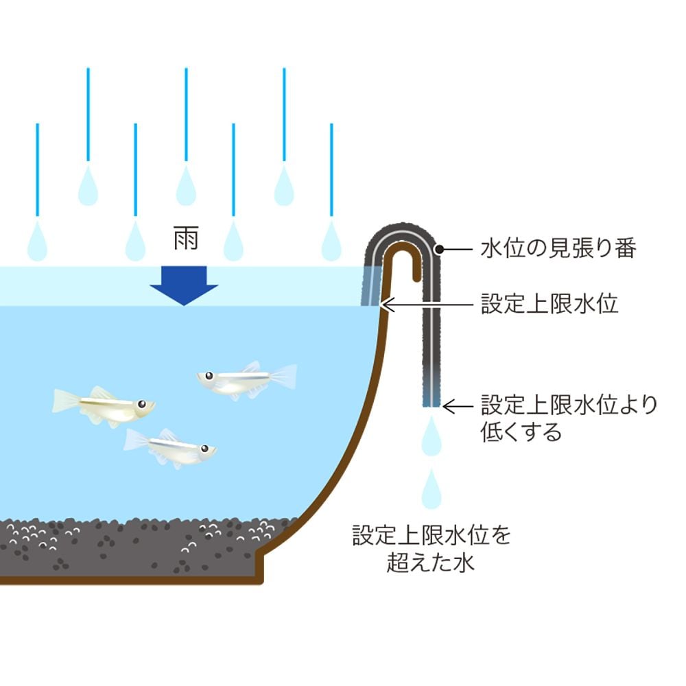 水位の見張り番 (小)