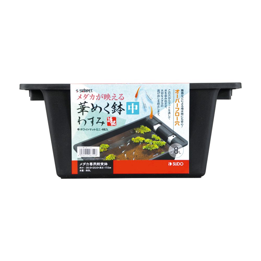 華めく鉢(中) わすみ