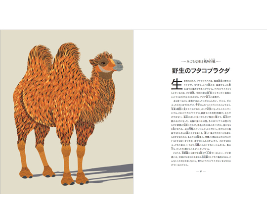 68-1083-31 消えゆく動物たちを救え 子どものための絶滅危惧種