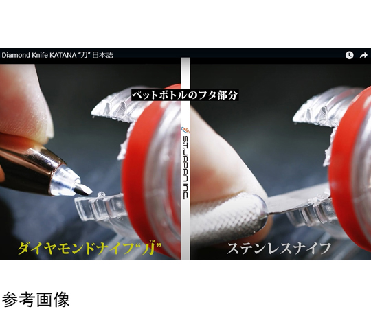 オランダ 2019 メダル1オンス 金貨 PCGS PR69DCAM デュカトン