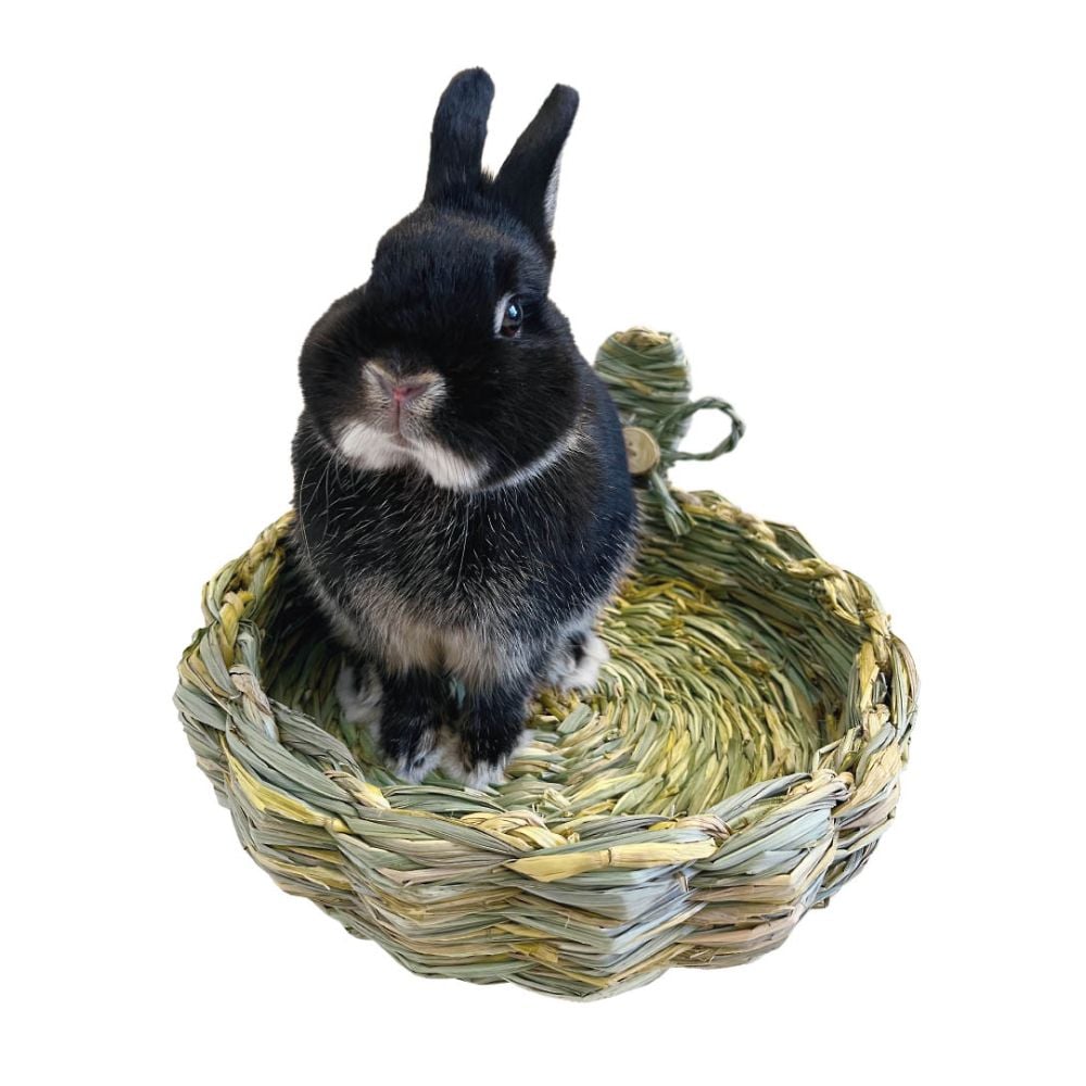 68-1403-43 住処sumi-CA バスケット Sサイズ 【AXEL】 アズワン