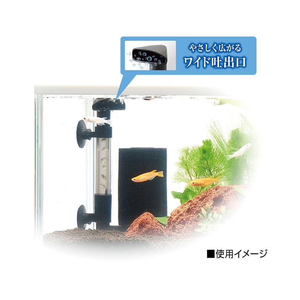 取扱を終了した商品です］メダカ元気 メダカを育てるフィルター