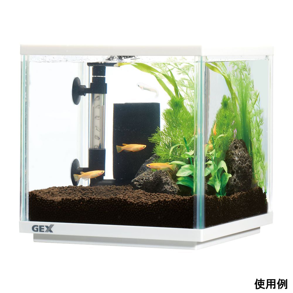 ADA 水槽セット① 68-1405-01 メダカ元気 メダカのための水槽セット200CUBE 【AXEL