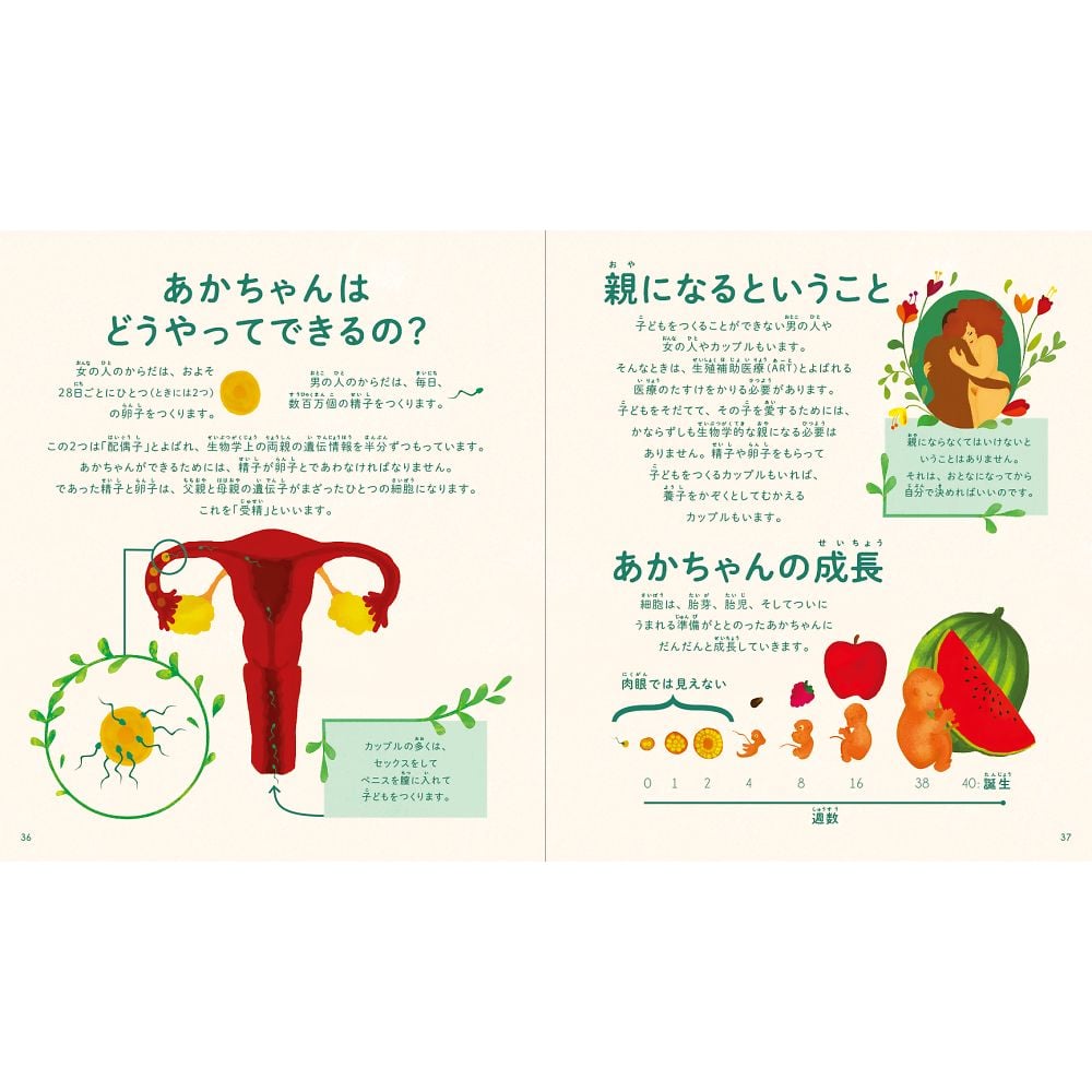 68-3424-14 女の子のからだえほん 【AXEL】 アズワン