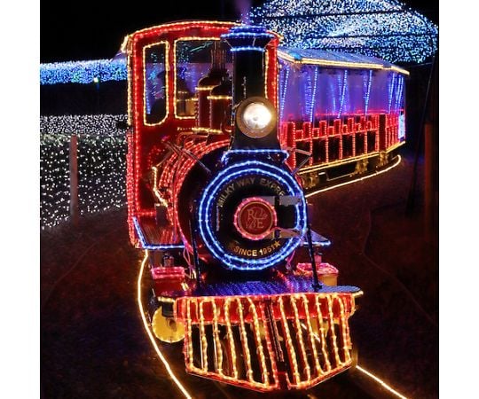 68-4972-66 LEDチューブストリング レッド L5000 CTCR1-164-30P