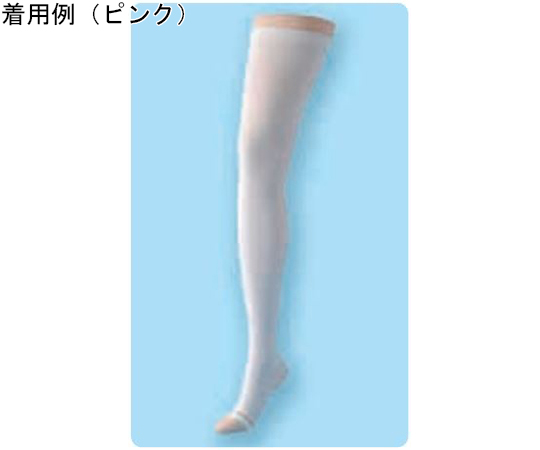 弾性ストッキングの通販 【AXEL】 アズワン