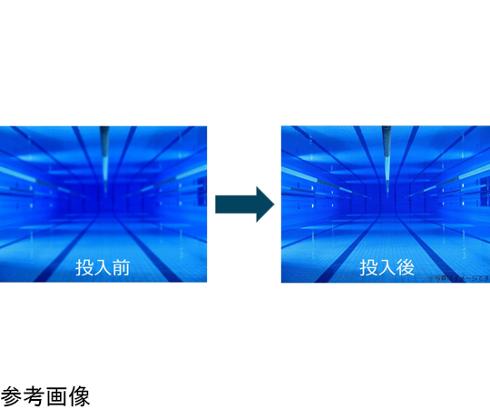 プール用 透明度改善凝集剤 アクアピル レギュラー 14個入　AQR-001
