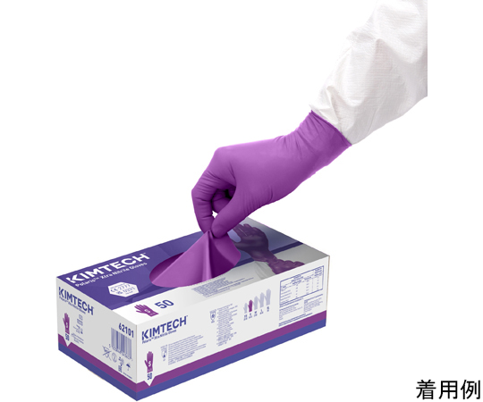 UMR商品 日産オンラインショップ：Niterra MOTUL Z (SUPER GT 2025 Rd.5 SUZUKA