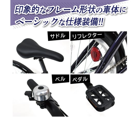 68-5214-19 FIELDCHAMP 20インチ折畳自転車 6段ギア付 MG-FCP206BL 【AXEL】 アズワン