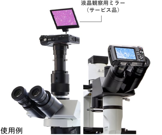 顕微鏡用デジカメ撮影システム OM SYSTEM TG-7使用 TG-7スーパーシステム（アダプター、カメラ本体含む）　TG-7-SS-RA