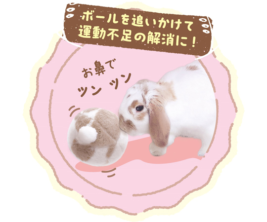 専用→80cm垂れ耳うさぎ→4点セット cu-f0228_2.jpg