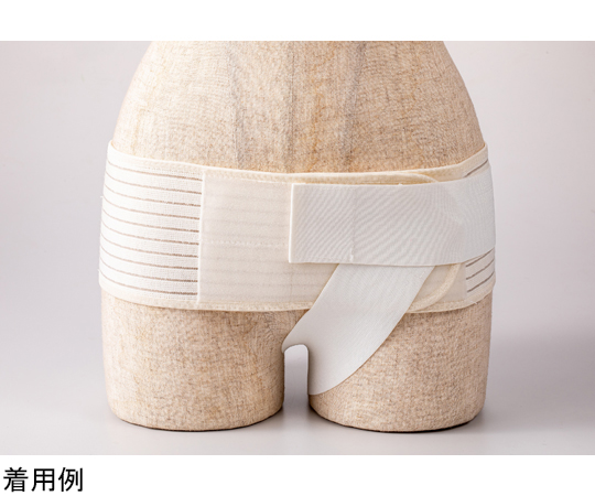 68-5409-79 脱腸サポーター 腸あんしん S～M 【AXEL】 アズワン