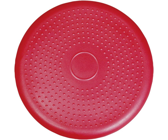 68-5682-76 バランスディスク ポンプ付セット DK450P 【AXEL