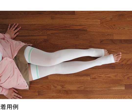 現在受注を停止している商品です］ギロファ・コンプレッソフィクス 
