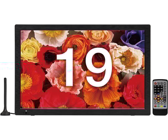 68-5772-58 TEES10.1型ポータブルテレビ PTV-101-BK 【AXEL