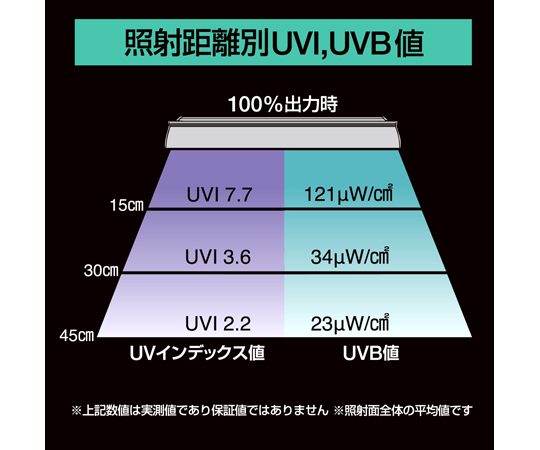 【極美品・US6】SOLARIUM MXソラリウム 18K3連 極美品・US6】SOLARIUM 味わえ MXソラリウム 18K3連