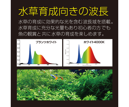 68-6656-20 Free Color Hyper LED Viiita ヴィータ900 【AXEL】 アズワン