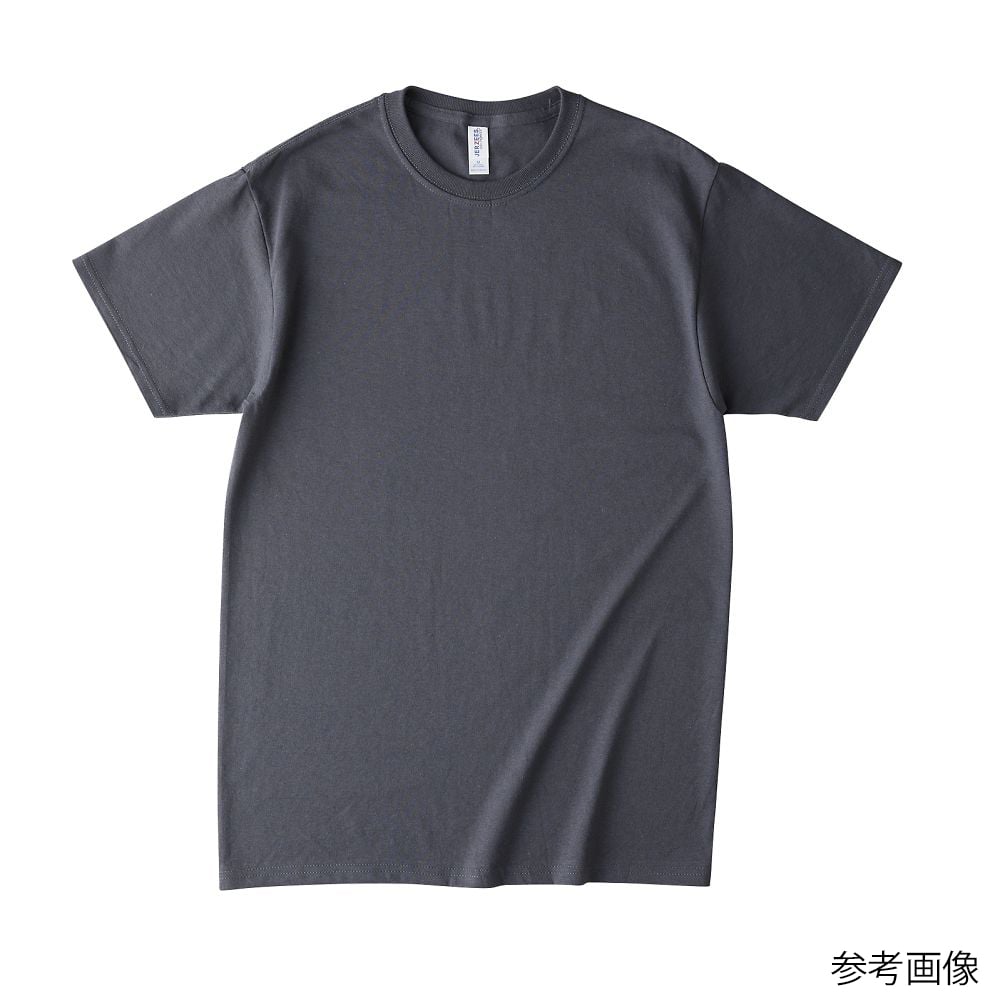 68-7395-77 ジャージーズ DRI-POWER Tシャツ チャコール S 29MR