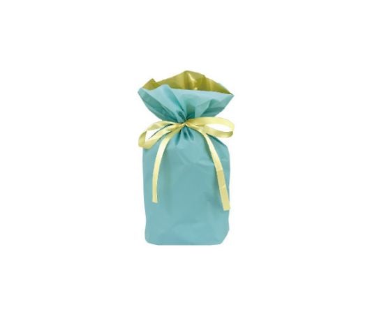 ★美品・裏張り済み★『A.P.C×ポルセリ』グリーン39 巾着&ショッパー付き A.P.C. | ショッピングバッグの商品一覧 | A.P.C. | アーペーセー日本