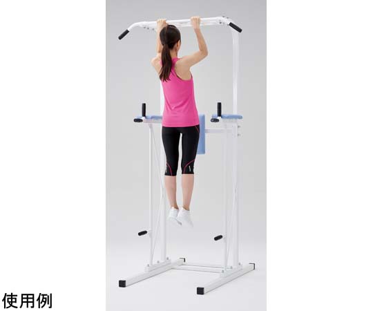 セノー社 懸垂・ディップス・腹筋トレーニング対応【業務用・日本製