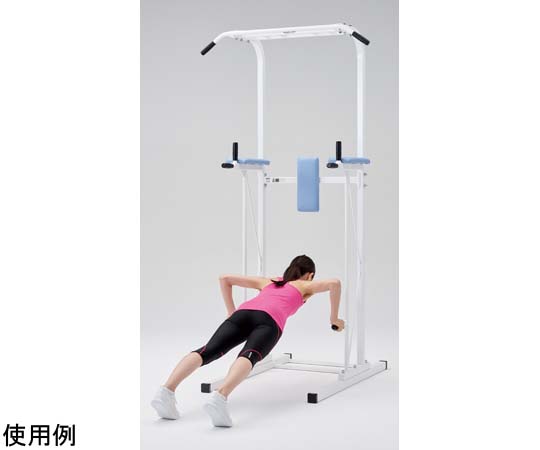 セノー社　懸垂・ディップス・腹筋トレーニング対応【業務用・日本製】 ディップススタンド 懸垂運動 斜め懸垂 筋力 自宅 人気 筋トレ 全身