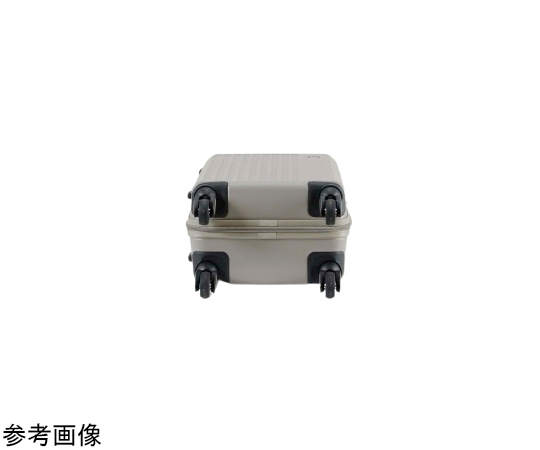 69-0818-74 FREQUENTER LIEVE リエーヴェ4輪キャリー 48cm 1-250