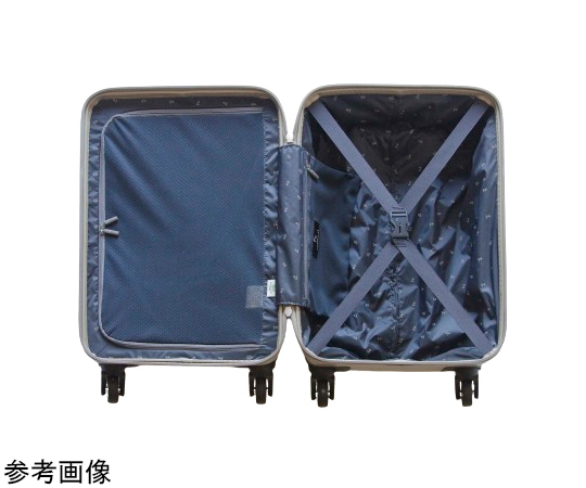 69-0818-74 FREQUENTER LIEVE リエーヴェ4輪キャリー 48cm 1-250