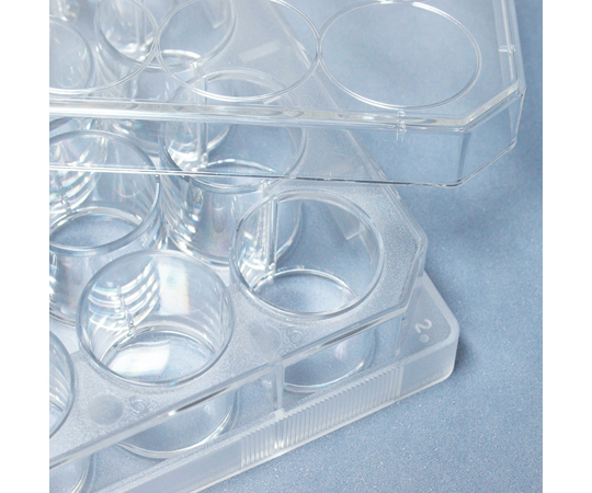 69-0957-77 SPL セルカルチャープレート 24ウェル / Surface