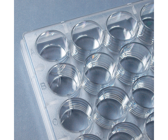 69-0957-77 SPL セルカルチャープレート 24ウェル / Surface