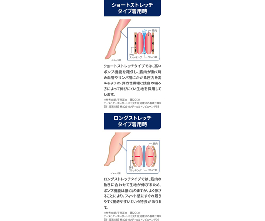 取扱を終了した商品です］69-1316-39 ベラバー2 ストッキング3 JP
