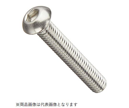 69-1672-35 ボタンキャップボルト（ステン）6X35 1セット（2個入