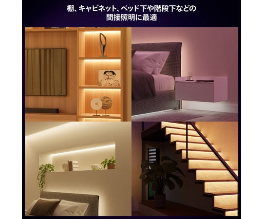 69-2206-46 Philips Hue ライトリボンプラス エクステンション