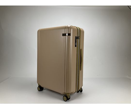 acka ベージュサイズ1 ASICS Gel-1130 NS Wood Crepe Men's - 1203A413-201 - US