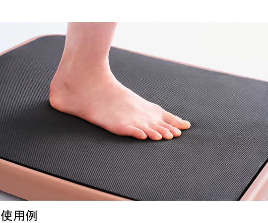 取扱を終了した商品です］砂浜ウォーク 69-3069-44 【AXEL】 アズワン