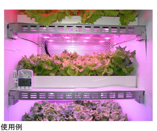 69-4867-82 植物栽培用LEDグロースキャビネット ACG-W01_21