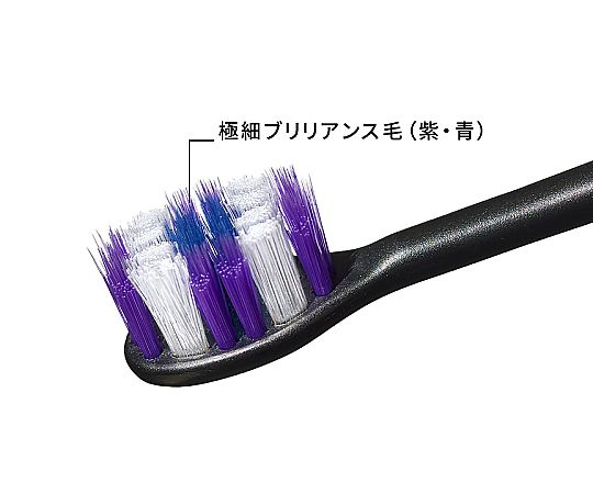 取扱を終了した商品です］音波振動ハブラシ ドルツ（電動歯ブラシ