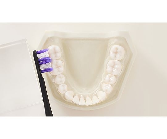 69-5584-95 音波振動ハブラシ ドルツ（電動歯ブラシ）白 EW-DA18-W