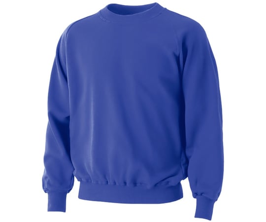 69-5704-26 1007 裏起毛トレーナー ロイヤルブルー 100 1007-ﾛｲﾔﾙﾌﾞﾙｰ