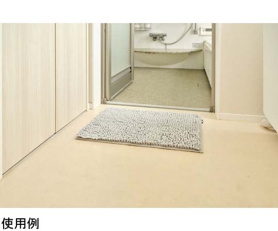 SUSU 抗菌ストロングWバスマットEC グレー 40×60cm　