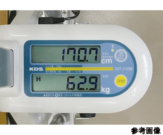 69-6410-63 デジタル身長・体重計SB（検定付） DST-210SB 【AXEL