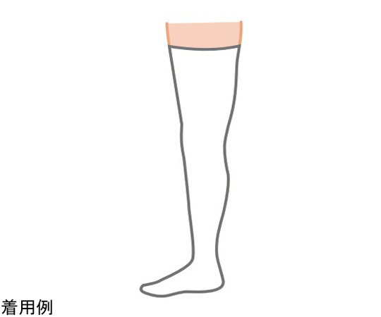69-6863-61 コンプリネットプロ Sレギュラー 1箱（1足/袋×10袋） 020