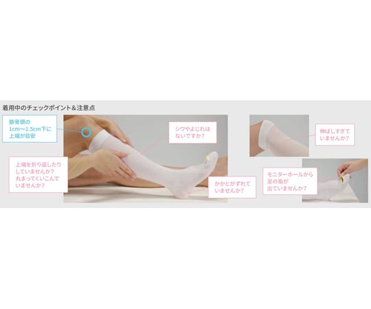 69-6863-63 コンプリネットプロ Lレギュラー 1箱（1足/袋×10袋） 020