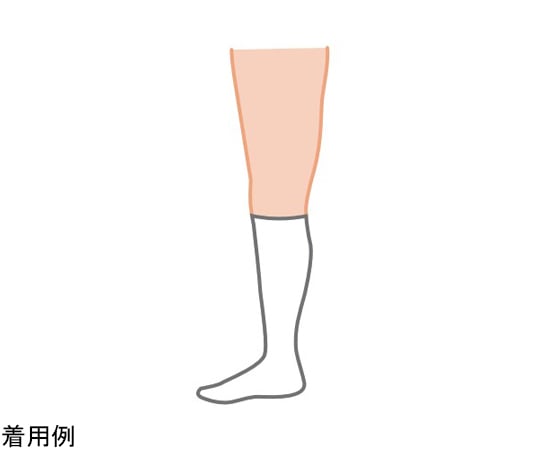 69-6863-69 コンプリネットプロ ひざ下 L 1箱（1足/袋×10袋） 020